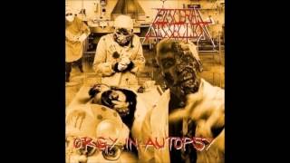 VISCERAL DISSECTION-Orgy in autopsy (feat.GINGER)