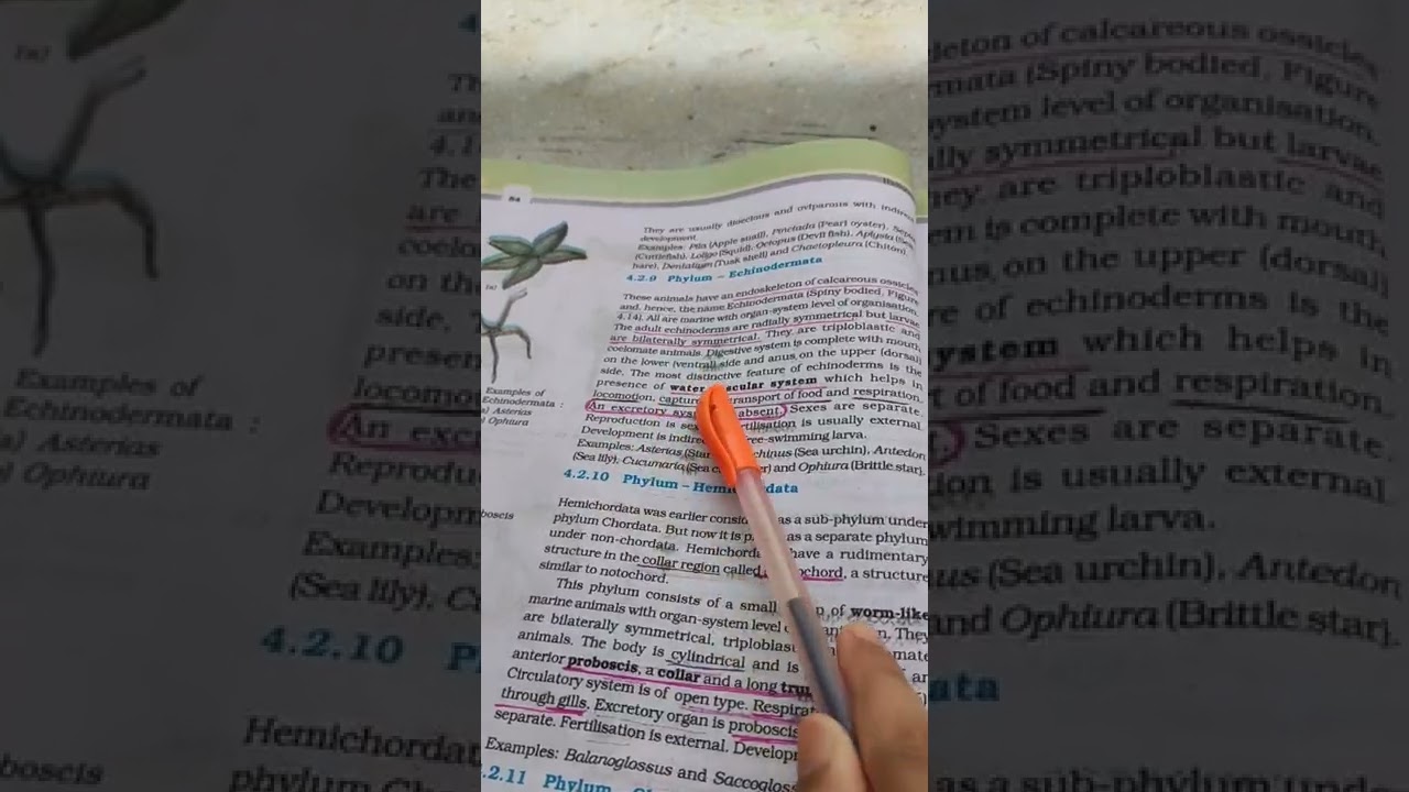 Important points of Animal Kingdom💯 | You must not miss | NEET | Class-11 | ध्यान दो 😌