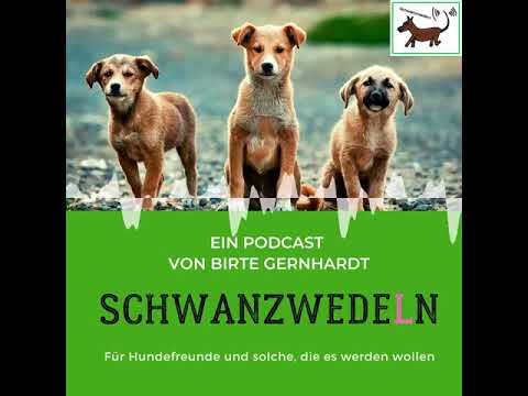 28 Reitbegelithunde - Schwanzwedeln