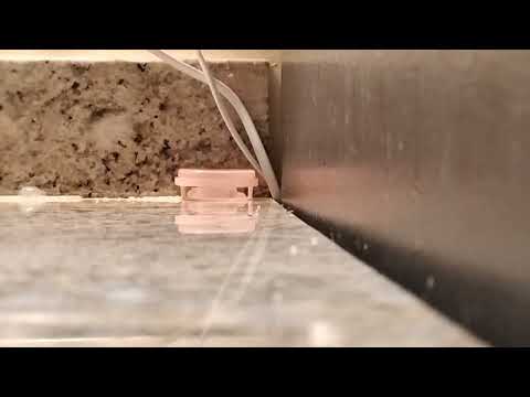 Ants Carrying Their Eggs Behind the Splash Guard in South Brunswick, NJ