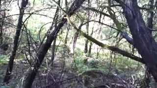 Exploring the TX Hill Country