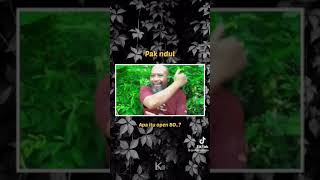 Download lagu pak ndul jos tenan #storywa#lucu mp3