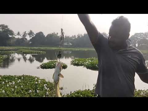 Casting spoon//pathan fishing in villlage fisherman-tutu//#fishing