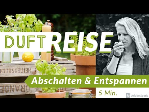 Traumreise Duftreise 5 Minuten Entspannung || Duftyoga Yoga für Einsteiger // Ätherische Öle
