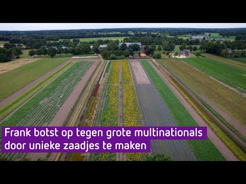 Frank probeert met zijn eigen zaadjes op te boksen tegen multinationals - De Boer Is Troef