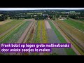 Frank probeert met zijn eigen zaadjes op te boksen tegen multinationals - De Boer Is Troef