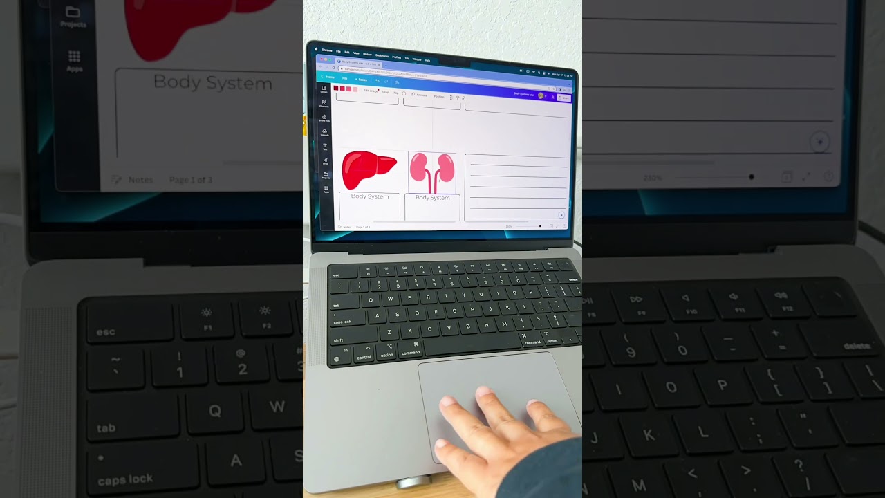 Find this FREE Body Systems template in my Canva Profile - The Crafty Science Teacher