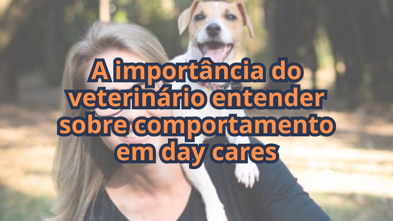 A importância do veterinário entender sobre comportamento em day cares