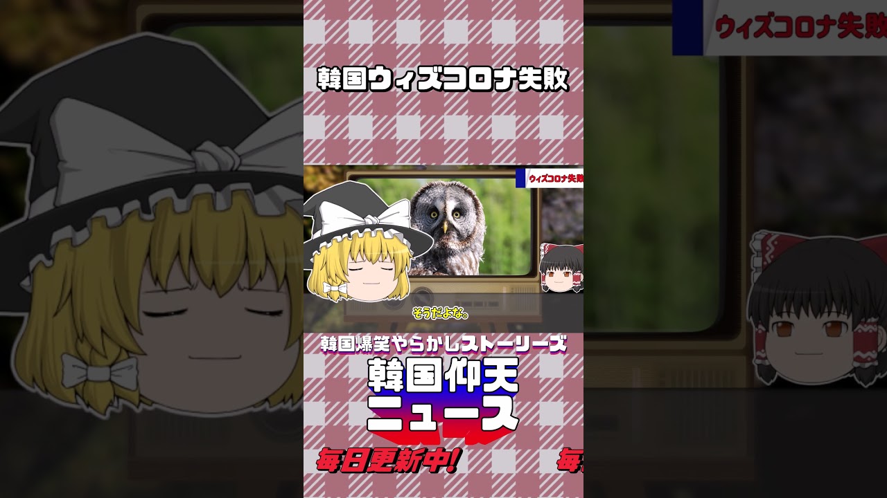 【ゆっくり解説】韓国仰天ニュース【バ韓国】