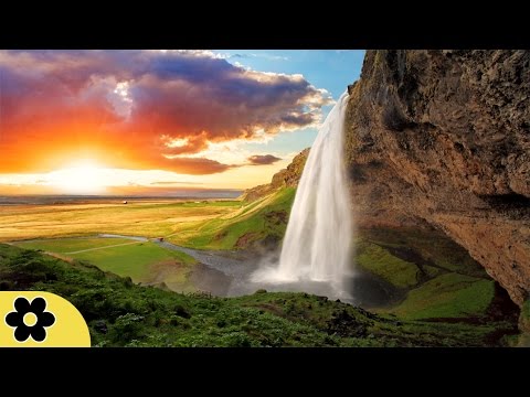 8 Hours Music for Sleeping, Soothing Music, Stress Relief, Go to Sleep, Background Music, ✿3094C
