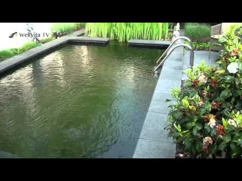Wellvita TV - Ninfea in Vorselaar