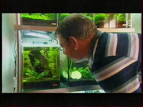 comment construire son meuble d'aquarium