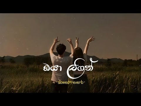 Oya Langin | Nethu Nonida Re(Slowed+Reverb)