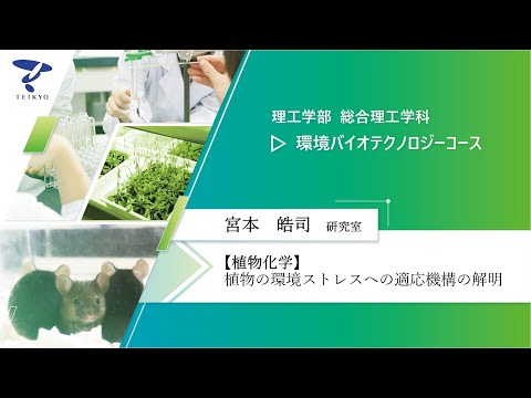 【研究室紹介】宮本皓司研究室（植物化学）【理工学部 総合理工学科 環境バイオテクノロジーコース】