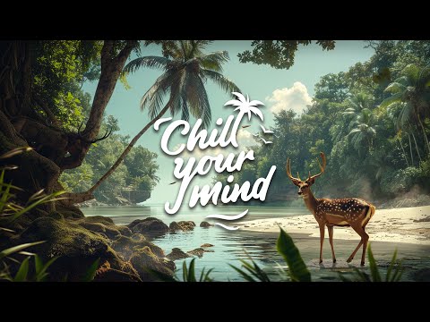 Chill Music Mix 2024 - Deep House & Tropical House - Calm & Relaxing Background Music
