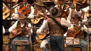 "O trenzinho do caipira" - Orquestra Paulistana de Viola Caipira.