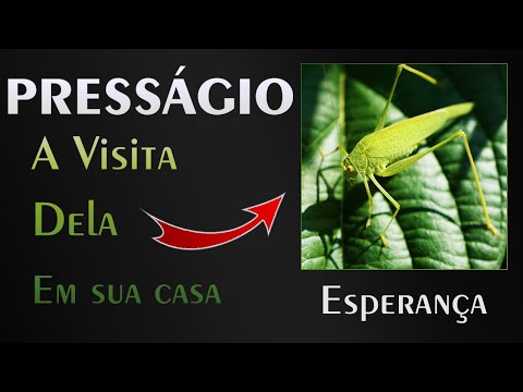 🏡 The Omen of Hope - Is It Luck? Or Something More?