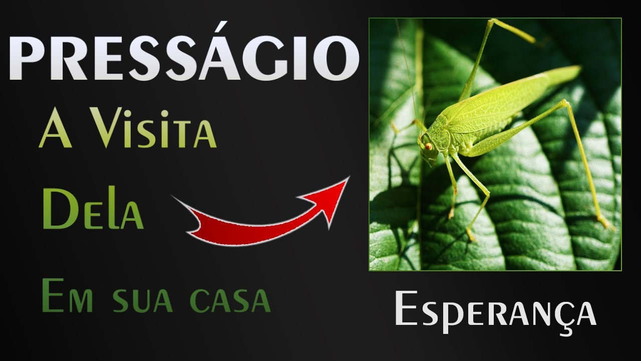 🏡 O Presságio da Esperança - É Sorte Ou algo a mais