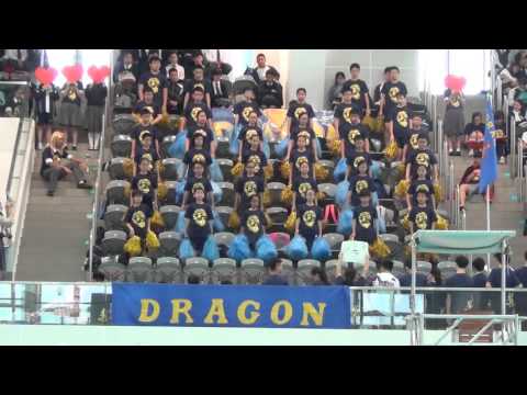 SGSS Swimming Gala Cheering Competition - Dragon House