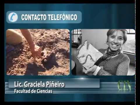 ENCUENTRAN FÓSILES MUY ANTIGUOS EN CERRO LARGO