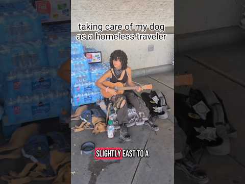 #nomad #travel #homeless #dog #busking
