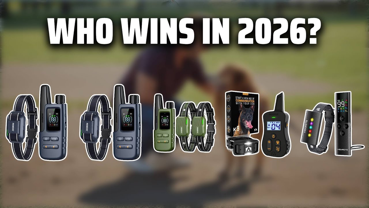 The Top 5 Best Iq Plus Dog Training Collar in 2026 - Must Watch Before Buying!