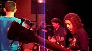 Ordinary Girl Tribal Seeds