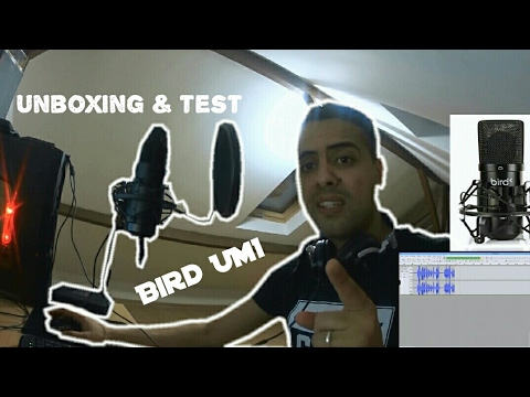 Meilleur Micro USB Bird UM1 - Unboxing et test