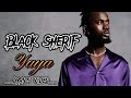 Black sherif yaya lyrics video