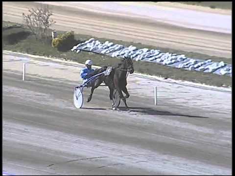 Trotto 08/03/2015 - 2° prova di riqualifica