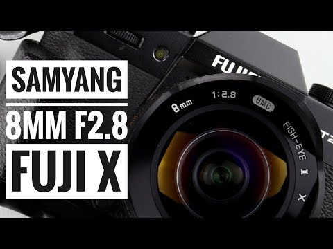 Video thumbnail for Video Review 2