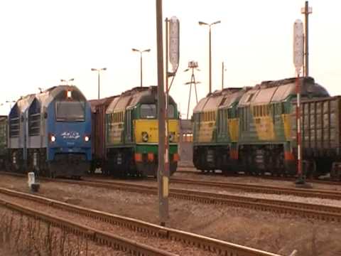 LHS Wola Baranowska. CZ.3