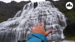 Dynjandi Waterfall & Iceland’s Oldest Bookstore - Westfjords Cruise Tour