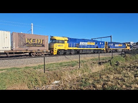 3AM5 With NR54 & NR111