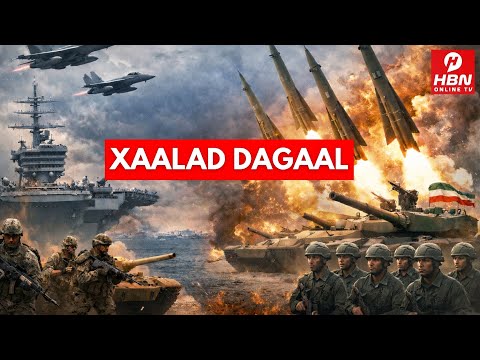 WARAR WAA WEYN OO SAAKA TAAGAN: KHALAAS TANI WAXAY U JIHAYSATAY DAGAAL BUUXA ALLOW SAHAL AMUURAHA