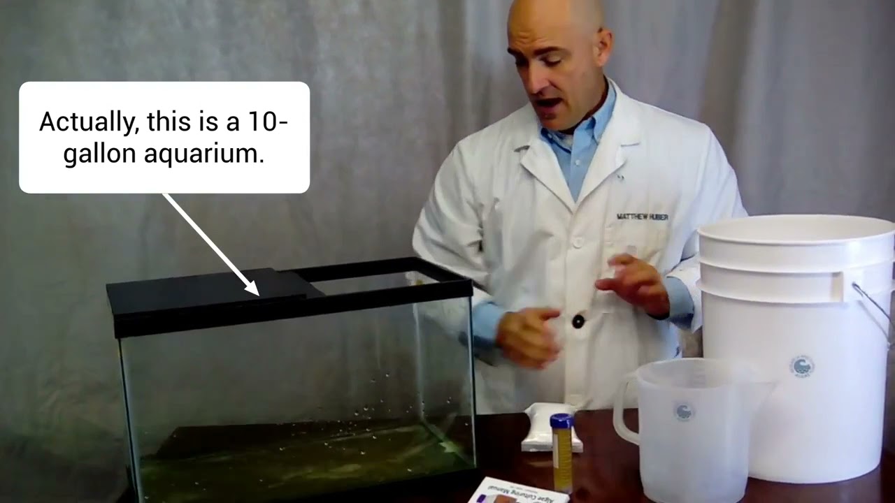 Algae Research and Supply: 5 gallon Algae Culture Kit