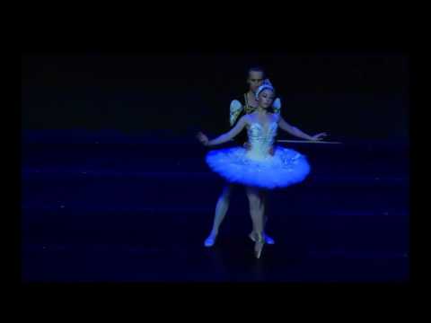 Swan Lake
