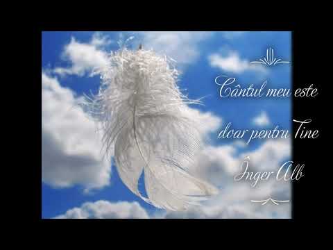 Cântul meu - Înger Alb