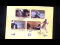 The Indian In The Cupboard DVD Menu Walkthrough