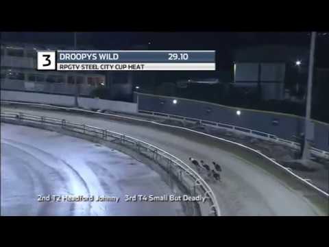 2019 RPGTV STEEL CITY CUP - HEAT 1 - T3 DROOPYS WILD