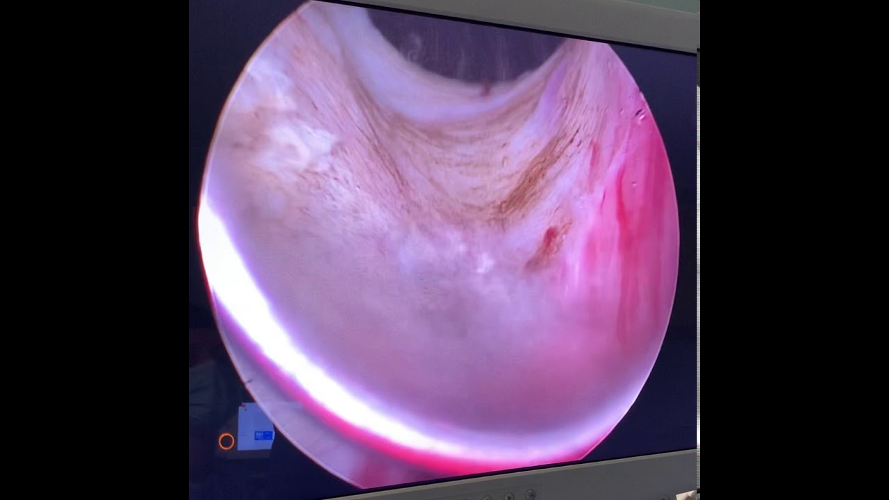 João Pedro Bueno Telles-14