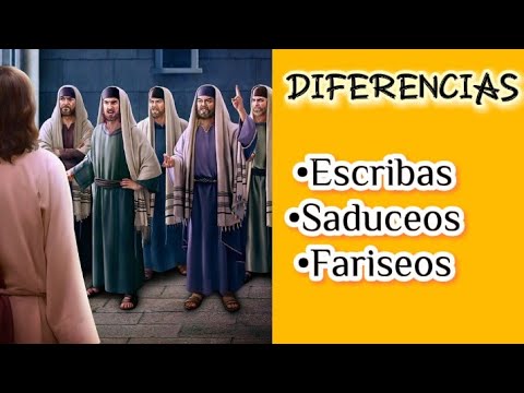 Quienes eran los fariseos saduceos y escribas