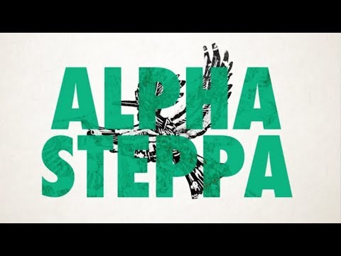 Alpha Steppa - 3rd Kingdom (Full Album + Lyrics) Dub Reggae [Steppas Records]