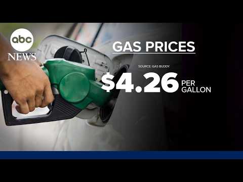 The impact of gas and energy prices on voters