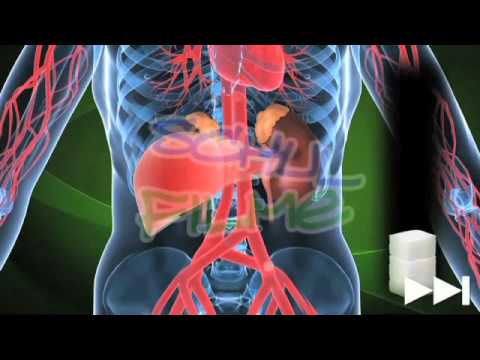 Ob es Wassermelone Patienten mit Typ-2-Diabetes mellitus Makrophagen und Diabetes