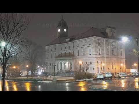 02-27-2021 Harrisonburg, VA - Overnight Snow - Bear the Dog Walks in the Snow