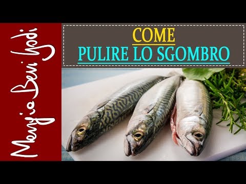 La curcuma per la potenza Come mantenere la potenza di età