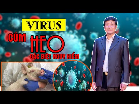 , title : 'Virus cúm heo mới đặc biệt nguy hiểm | PGS.TS PHẠM NGỌC THẠCH'