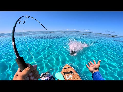 TOPWATER COMPILATION INSANE STRIKES