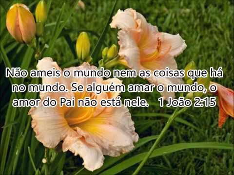 Hino 203 - Ao mundo as costas já voltei